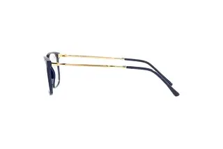 Seitenansicht Ray-Ban RX7244 (8100)