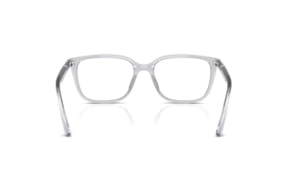 Rückansicht Ray-Ban RX7248D (8411)