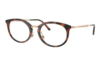 Ray-Ban RX7255 5687 Striped Havana