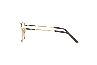 Seitenansicht Ray-Ban ROUND TITANIUM (RX8237V - 1220)