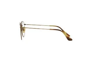 Seitenansicht Ray-Ban ROUND (RX8247V - 1222)