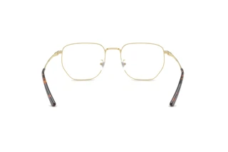 Rückansicht Ray-Ban RX8776D (1251)