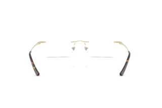 Rückansicht Ray-Ban RX8781D (1251)