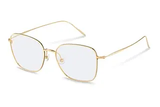 Rodenstock R7120 D