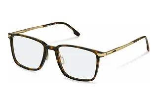 Rodenstock R7162 B000 havana/gold