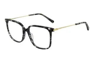 Vorderansicht Scotch and Soda 503012 (010)