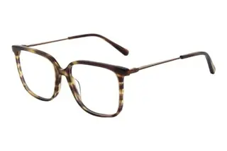 Scotch and Soda 503012 107 Braun
