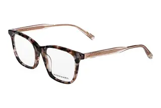 Scotch and Soda 503024 206 Braun