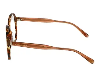 Seitenansicht Scotch and Soda 503025 (101)