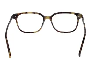 Rückansicht Scotch and Soda 504019 (037)