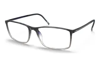 Silhouette 2934 9010