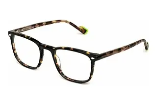 Sting VST524L 0U64 SHINY BLACK TOP+HAVANA