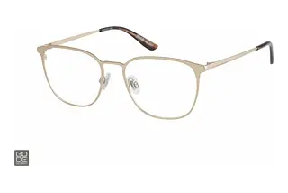 Superdry SDO 2018 001 gold tortoise