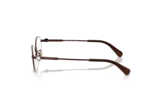 Seitenansicht Swarovski SK1028TD (4041)