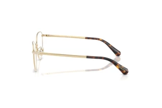 Seitenansicht Swarovski SK1029D (4013)