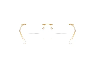 Rückansicht Swarovski SK1031 (4004)