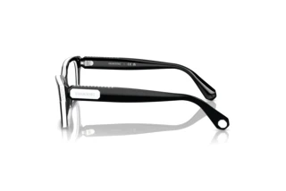 Seitenansicht Swarovski SK2013 (1015)