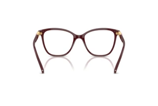 Rückansicht Swarovski SK2020 (1008)