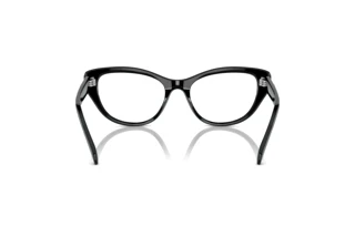 Rückansicht Swarovski SK2023 (1001)