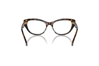 Rückansicht Swarovski SK2023 (1002)