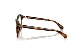 Seitenansicht Swarovski SK2042U (1002)