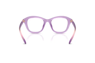 Rückansicht Swarovski SK2042U (1075)