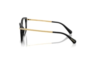 Seitenansicht Swarovski SK2044 (1001)