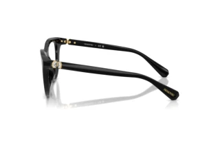 Seitenansicht Swarovski SK2052 (1001)