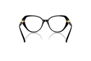 Rückansicht Swarovski SK2054 (1001)