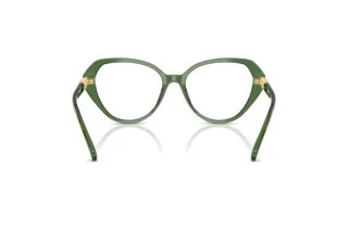 Rückansicht Swarovski SK2054 (1085)