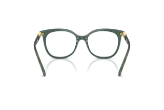 Rückansicht Swarovski SK2055 (1043)