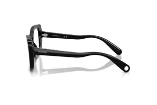 Seitenansicht Swarovski SK2066U (1001)