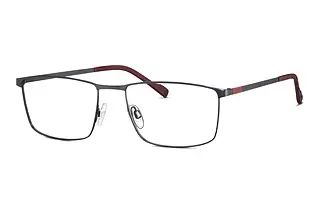 TITANFLEX EBT 820853 30 grau / gun