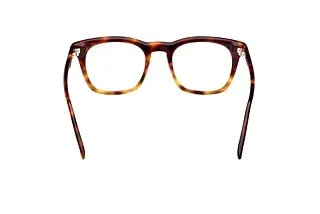 Rückansicht Tom Ford FT5870-B (056)