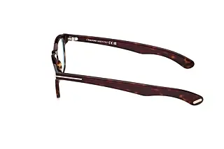 Seitenansicht Tom Ford FT5976-B (052)