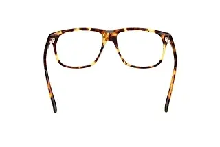 Rückansicht Tom Ford FT5978-B (053)