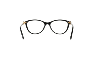 Rückansicht Versace VE3175 (GB1)