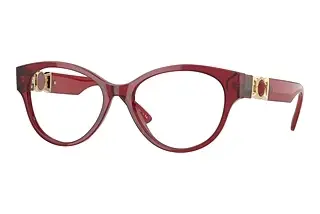 Vorderansicht Versace VE3313 (388)
