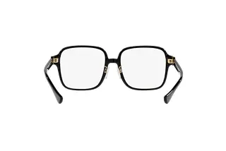 Rückansicht Versace VE3333D (GB1)