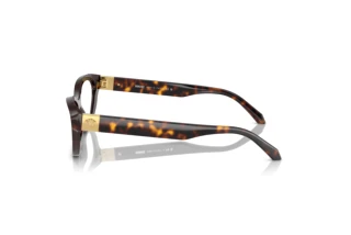 Seitenansicht Versace VE3356 (108)