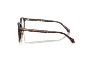 Seitenansicht Versace VE3379D (108)