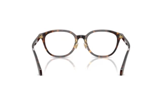 Rückansicht Versace VE3379D (108)