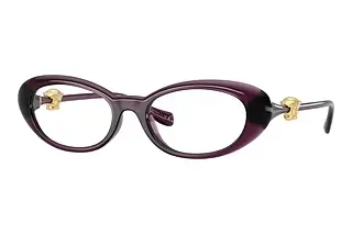 Versace VE 3381U 5536