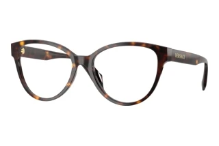Vorderansicht Versace VE3399U (108)