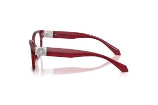 Seitenansicht Versace VE3401U (388)
