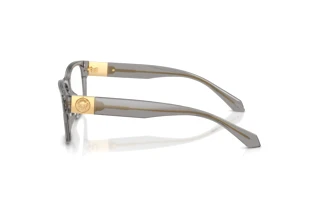 Seitenansicht Versace VE3403U (5510)