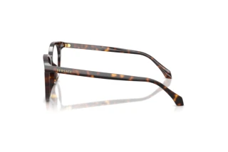 Seitenansicht Versace VE3404D (108)