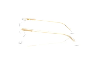 Seitenansicht Versace VE3404D (148)