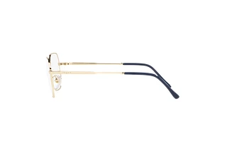 Seitenansicht Vogue Eyewear VO4228 (848)