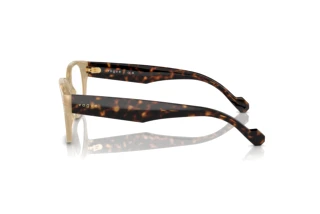 Seitenansicht Vogue Eyewear VO5529 (W900)